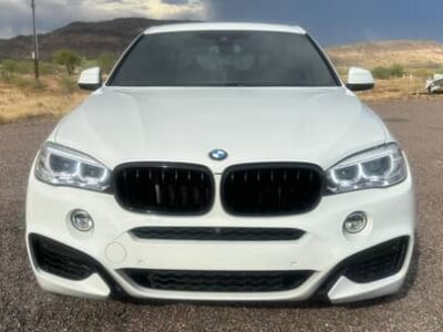 2019 BMW x6