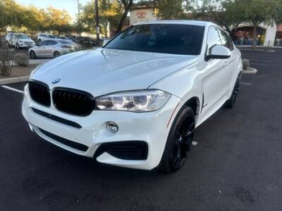 2019 BMW x6