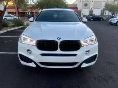 2019 BMW x6