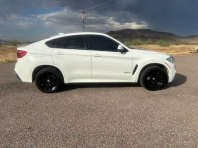 2019 BMW x6