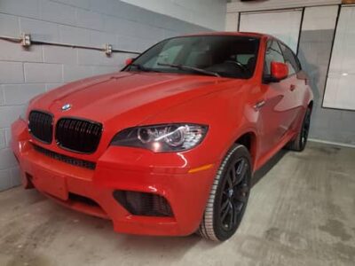 2011 BNW X6