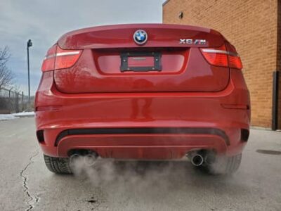 2011 BNW X6
